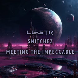 Snitchez / Meeting the Impeccable