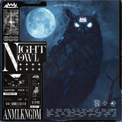 Night Owl