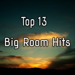 Top 13 Big Room Hits