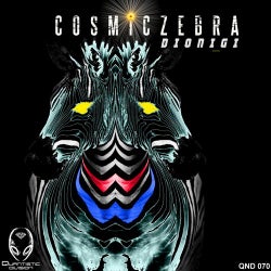 Cosmic Zebra