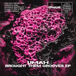 Brought Them Grooves EP