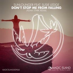 Don't Stop Me From Falling - Adam Stark Remix