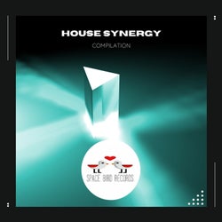 House Synergy
