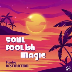 Soul Foolish Magic