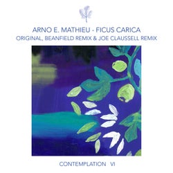 Contemplation VI - Ficus Carica