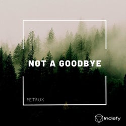 Not A Goodbye