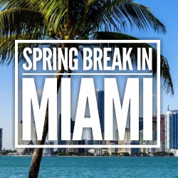 spring break in MIAMI