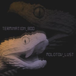 Snake In The Grass (Termination_800 Remix)