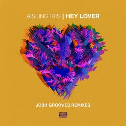 Hey Lover (Josh Grooves Remixes)