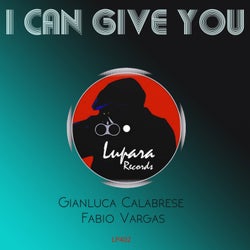 I Can Give You