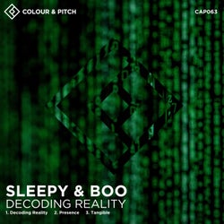 Decoding Reality