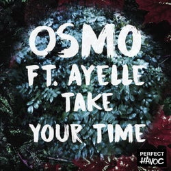 Take Your Time (feat. Ayelle)
