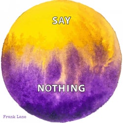 Say Nothing