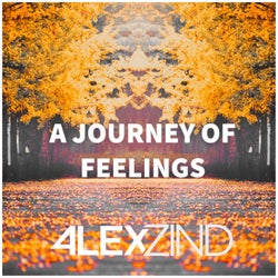 A Journey Of Feelings