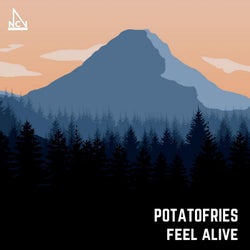 feel alive (Instrumental)