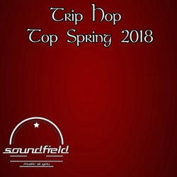 Trip Hop Top Spring 2018