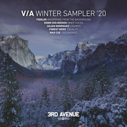 Winter Sampler 2020