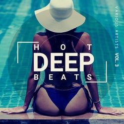 Hot Deep Beats, Vol. 3