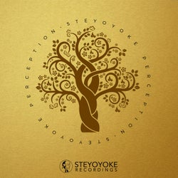 Steyoyoke Perception, Vol. 04