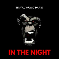 In the Night (CDM)