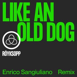 Like An Old Dog (Enrico Sangiuliano Remix)