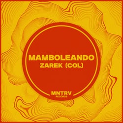 Mamboleando