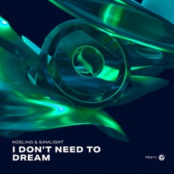 I Don't Need To Dream
