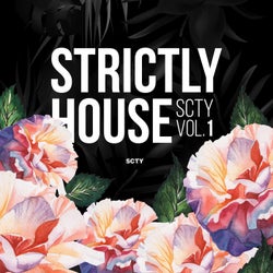 Strictly House SCTY, Vol. 1