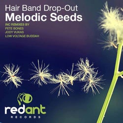 Melodic Seeds