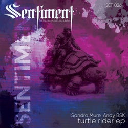 turtle rider 