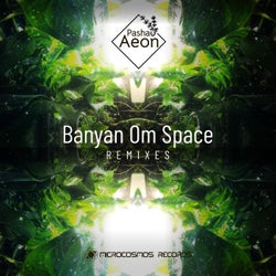 Banyan Om Space (Remixes)