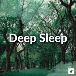 Deep Sleep