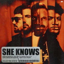 She Knows (with Akon) (Per Pleks Extended Remix)