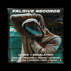 Falsive Records VA003