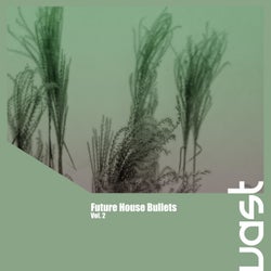 Future House Bullets, Vol. 2
