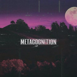 Metacognition