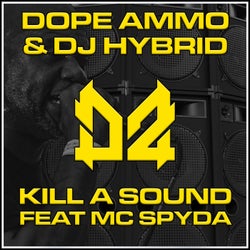 Kill A Sound (DJ Hybrid VIP Remix)