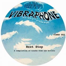 synonymordbog Mania slave The Vagabond (Twelve Clouds Rework) from Vibraphone Records on Beatport