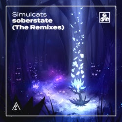 soberstate (The Remixes)