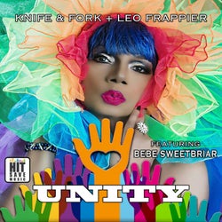 Unity - The Maxi-Single