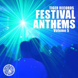 Festival Anthems (Vol. 5)