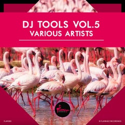 Flamingo DJ Tools vol.5 - Extended Mixes