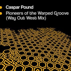 Pioneers Of The Warped Groove