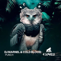 Punch