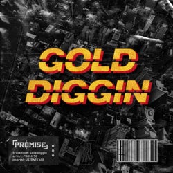 Gold Diggin (Extended Mix)