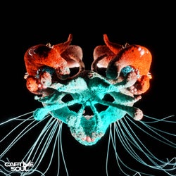 Kraken