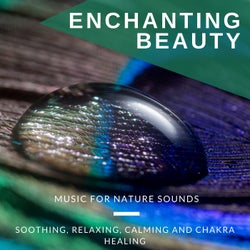 Enchanting Beauty - Music For Nature Sounds, Soothing, Relaxing, Calming And Chakra Healing