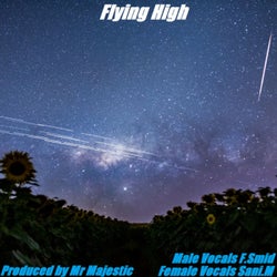 Flying High