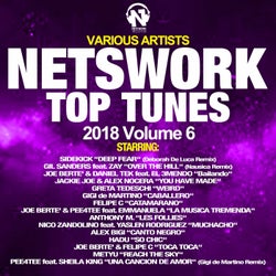 Netswork Top Tunes 2018, Vol. 6
