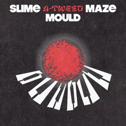 Slime Mould Maze EP